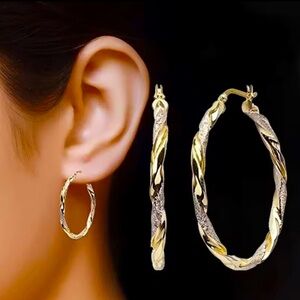 Elegant Gold and Silver Hoop Earrings